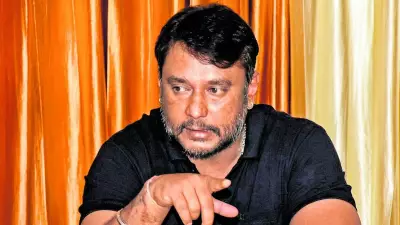 Actor Darshan moves Supreme Court for bail clarification