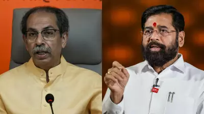 After MPs, focus shifts to MLAs as Operation Tiger Part-II looms over Uddhav's Shiv Sena