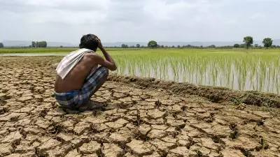 Andhra Farmers Save 12 Lakh Litres Water Per Acre with DSR Method