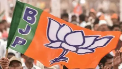 Ascent Through Allies: The BJP Playbook for Political Expansion