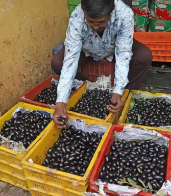 Bengaluru's Markets Overflow with Affordable Jamun This Monsoon Season