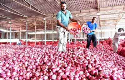 Bhujbal flags irregularities in politician-led FPOs for onion procurement