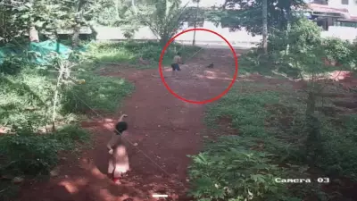 Brother leaps from first floor to save 6-year-old from dog attack in Kerala