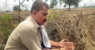 Cement units choke, pollute villages in Karnataka's Kalaburagi district