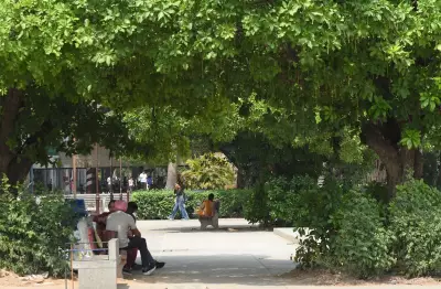 Chandigarh to Endure One More Heatwave Day Before Heavy Rain from July 2-6