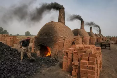 Coal Use Persists in Delhi-NCR Brick Kilns Despite Ban, CSE Survey Finds