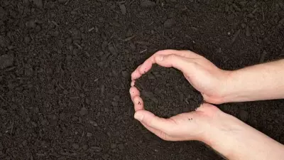 Compost vs Potting Soil vs Topsoil: Key Differences and Best Uses for Gardening