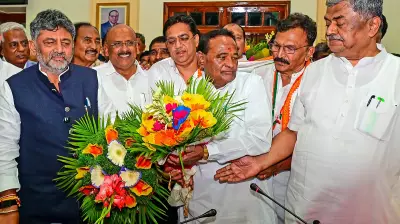 Congress in Karnataka Eyes Review of Cattle Slaughter Ban