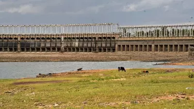 CWMA to Review Cauvery Water Situation Today, TN Seeks Balance