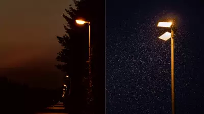 Darker Nights Boost Pollination and Pest Control, Study Finds