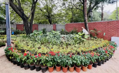 DDA Launches Major Plantation Drive to Plant 23 Lakh Saplings Across Delhi