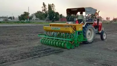Direct Seeded Rice Gains Traction in Karnal with 19K Acres Registered