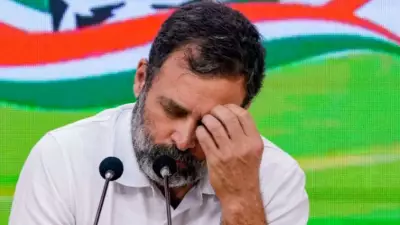 DMK Blames Rahul Gandhi for Opposition Friction, Calls Him Immature
