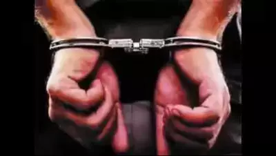 DRI Arrests Two in Rs 7.35 Crore Cosmetic Smuggling Case at Nhava Sheva