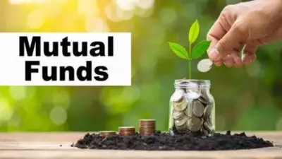 Equity Mutual Fund Inflows Hit One-Year Low in May