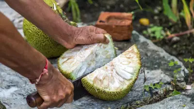 From Kebab to Achar: 11 Delicious Ways to Enjoy Jackfruit This Summer