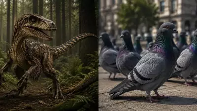 How Dinosaurs Evolved Into Birds: New Fossil Discoveries