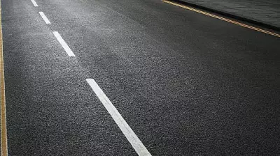 In Mumbai, a White Line Between Ahimsa and Anger