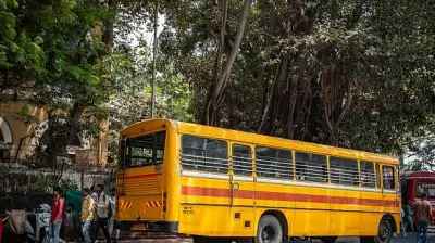In the Rear Seat of Memory: A Nostalgic Journey Through Childhood Rides