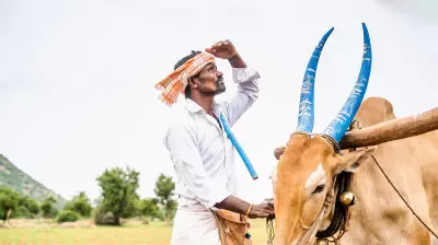 India Faces Severe Super El Niño Threat in 2026, Risking Monsoon and Economy