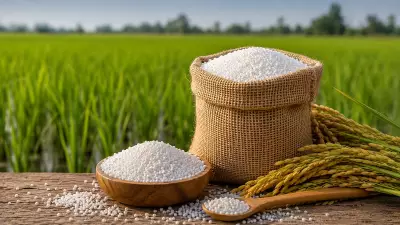 India May Cut Fertiliser Subsidy as Global Urea Prices Plunge 50%