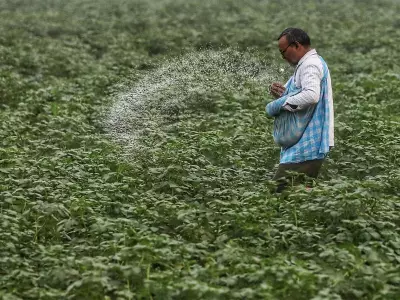 India's Fertiliser Security Challenge: Geopolitical Risks and Path to Self-Reliance