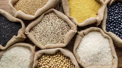 India's Seed Bill 2026: Farmers Face Rising Costs as Genetic Diversity Declines