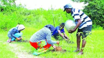 Inside Bengaluru Development Authority's Green Guinness Dream