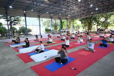 International Yoga Day celebrated across Kangra, Chamba districts with events