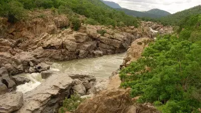 Karnataka DCs Directed to Identify 12,600 Acres for Mekedatu Afforestation