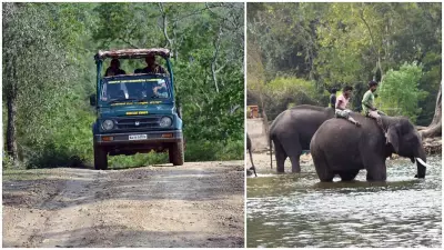 Karnataka Forest Dept Bans Feeding, Bathing Captive Elephants
