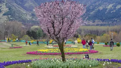 Kashmir Tourism Booms Post-Pahalgam Attack, But Are Visitors Missing the Best?
