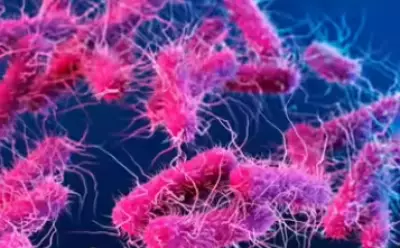 Kerala reports another Shigella death; total cases reach 216 this year