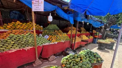 Kolar Protests Disrupt Bengaluru Mango Markets, Traders Struggle