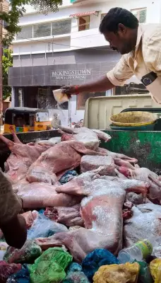 Madurai Food Safety Officials Seize 1,200kg of Spoiled Meat from Supplier