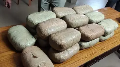 Mandya Man Held for Smuggling 111 kg Ganja in Car from Odisha
