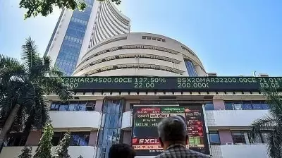 Markets rebound on softening crude oil prices; Sensex jumps 790 points