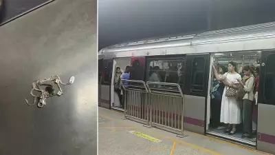 Metal Chain in Door Guideway Caused Bengaluru Metro Purple Line Snag: BMRCL