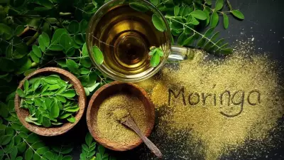 Moringa Exports from Dharmapuri Bring Farmers Steady Income