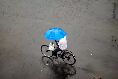 Mumbai Rains Likely to Resume After 48-Hour Slowdown: IMD