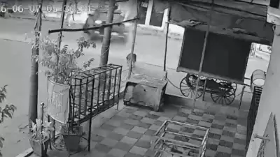 Nagpur Hit-and-Run: 72-Year-Old Dies After 5-Day Battle, Accused Untraced