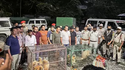 Nine Arrested for Smuggling Endangered Golden Langurs in Assam
