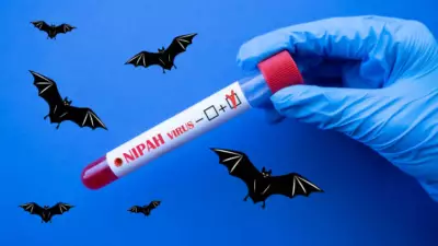 Nipah Virus Case Confirmed in Kerala: Symptoms, Spread, and Prevention Tips