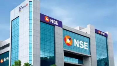 NSE IPO: Billionaire Radhakishan Damani Among Top Individual Shareholders