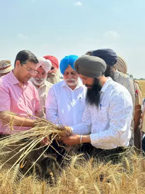 Punjab Professor's Eco-Friendly Farming Revolution in Mutton Village
