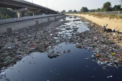 Punjab's Battle Against Single-Use Plastics Falters Despite Bans