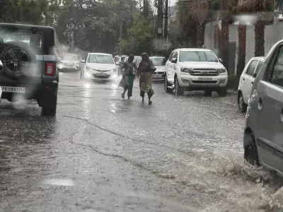 Record 20.2mm Rain Cools Ludhiana, Temp Drops 10°C Below Normal