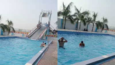 Rs 22 Lakh Monthly from Swimming Pool: Meerut Man's Viral Claim