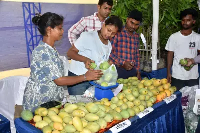 SLBC seeks identity cards for farmers to streamline loan sanctioning process