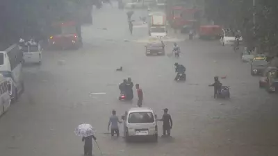 Southwest Monsoon Intensifies: Heavy Rain Alert for 10+ Tamil Nadu Districts